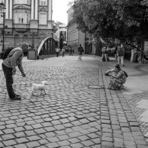 fot. Michał Baranowski